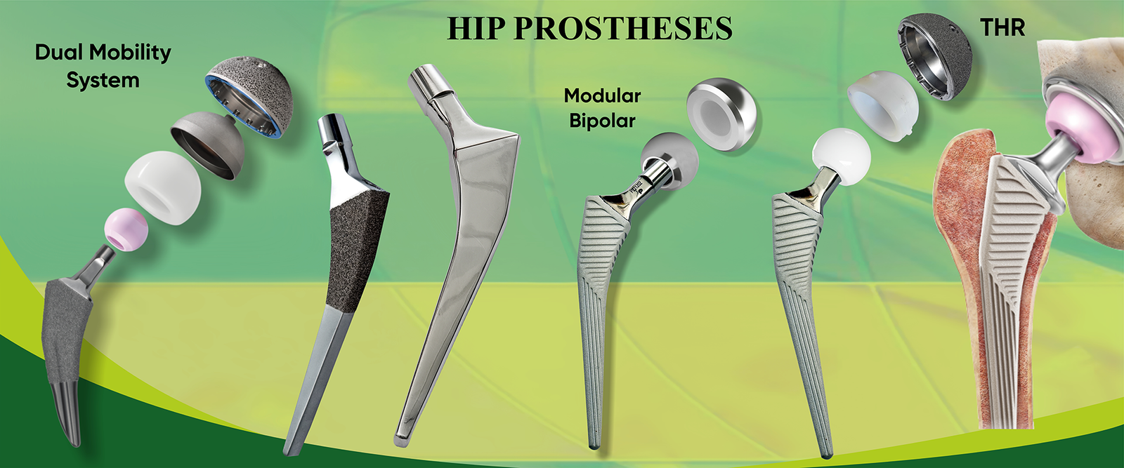 Ortho Care Manufacturer in Delhi
