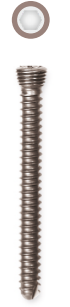Locking Head Screw