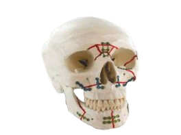 Maxillofacial Supplier in India
